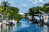Florida, Upper Florida Keys, Key Largo, neighborhood, canal, waterfront homes, palm trees, boats, dry dock