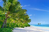 Tropical paradise, La Digue Island, Seychelles, Indian Ocean, Africa.