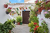 Flowerpots in Barrio de la Villa (old quarter), Priego de Cordoba, Sierra de la Subbetica, Route of the Caliphate, Cordoba province, Andalusia, Spain.