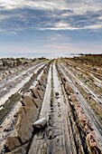 Flysch in Sakoneta beach, Basque Country.