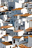 White houses of the village Casares, White Towns of Andalusia, Sierra Bermeja, Málaga province, Spain.