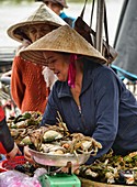 Crab vendor in the fish market, Hoi An, Vietnam.