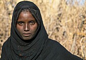 Portrait of an Afar tribe girl with braided hair, Afar region, Chifra, Ethiopia.
