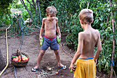 Boys picking vegetables in garden