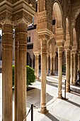 Stilted arches in the gallery of Court of the Lions in Alhambra palace. Granada, Spain.