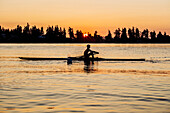 Silhouette of Caucasian man rowing at sunset