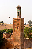 North Africa, Morocco, Capital Rabat, Archaeological site Chellah