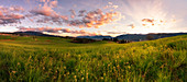 Italy, Trentino Alto Adige, sunset on the prairies of Non valley on a spring day
