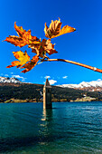 Resia lake, the church, Trentino alto Adige, Italy