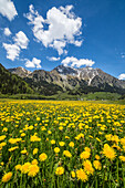 Spring flowering and green meadows Casaccia Bregaglia Valley Canton of Graub? Engadine Switzerland Europe