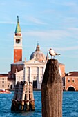 Europe, Italy, Veneto, Venice Church of St, Giorgio Maggiore