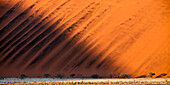 Sunrise from dune 45 in Sossuvlei, Namib Naukluft National Park