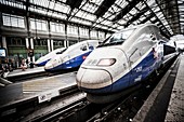 Modern high-speed bullet TGV and regional trains leave Paris from the historic Gare de Lyon station.