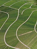 Aerial view of agricultural landscape, Hohenheim, Stuttgart, Baden-Wuerttemberg, Germany