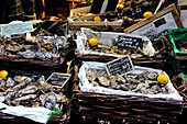 France, Paris 7th district, market stall of a fishmonger with oyster crates