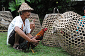 Indonesia, Bali, Peasant farmer fighting cocks in the village of Tunjuk in the province of Tabanan.