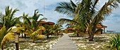 Caribbean, Cuba, Pinar del Rio, Archipielago de los Colorados, Cayo Levisa, huts and bungalows on the beach