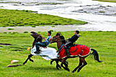 Kyrgyzstan, Issyk Kul Province (Ysyk-Kol), Juuku valley, horse race is a nice way to have fun