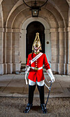 UK, London, Whitehall guard.