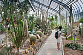 Canada. Province of Quebec. Montreal. District Hochelega-Maisonneuve (HoMa). The botanic garden. The cactus greenhouse. (authorization distribution of the model)