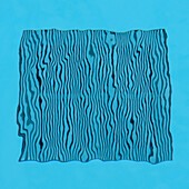 Undulations of straight line in a swimming pool. Tremor