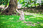 France, Lot, Rocamadour, Monkeys Forest, Young Barbary macaque sitting on the grass, eating an apple