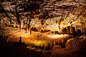 France, Lot, Cave of Lacave, Stalactite ceiling