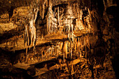 France, Lot, Cave of Lacave, Stalactites ceiling