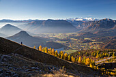 Hiking trail at Mount Loser, view to Mount Dachstein, Bad Aussee, Styria, Austria, Europe