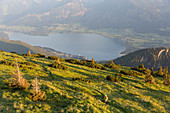 Lake Wolfgangsee, seen from Mount Schafberg, St. Wolfgang, Upper Austria, Austria, Europe