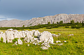 Huttererhöss, Schröcken, Warscheneckgruppe, Totes Gebirge, Hinterstoder, Oberösterreich, Österreich, Europa