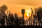 Sonnenaufgang an der Elbe mit Seezeichen, Bäumen und Containerkränen, Hamburg, Deutschland