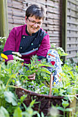 angesagtes Bio-Restaurant in der alten Dorfschule von Rosenow bei Schwerin, Restaurant De oll Dörpschaul, Inhaberin Frau Ute Alm-Linke mit Korb in ihrem Garten, Mecklenburgische Seen, Mecklenburgisches Seenland, Mecklenburg-Vorpommern, Deutschland, Europa