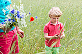 Vater und Sohn, Junge auf einem Feld mit Kornblumen und Mohnblumen, Blumen pflücken bei Federow, MR, Müritz-Nationalpark, Mecklenburgische Seen, Mecklenburgisches Seenland, Mecklenburgische Seenplatte, Mecklenburg-Vorpommern, Deutschland, Europa