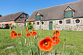 Gehöft aus eiszeitlichen Steinen in Neuensund, Mecklenburgische Seen, Mecklenburgisches Seenland, Mecklenburgische Seenplatte, Mecklenburg-Vorpommern, Deutschland, Europa