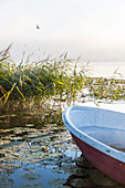 Rowing boats, sunrise, lake Sternberger See, Mecklenburg lakes, Sternberg, Mecklenburg-West Pomerania, Germany, Europe