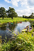 Canoing on river Warnow, paddling, canoe, kayak, Alt Necheln, Mecklenburg-West Pomerania, Germany, Europe