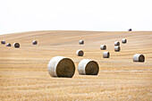 abgeerntetes Feld, Strohballen, Mecklenburgische Seenplatte, Mecklenburgische Seen, bei Möllenbeck, Mecklenburg-Vorpommern, Deutschland, Europa