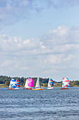 Sailboat Regatta on lake Müritz, the largest lake of Germany, sailing boat, Müritz National Park, Mecklenburg lakes, near Rechlin, Mecklenburg-West Pomerania, Germany, Europe