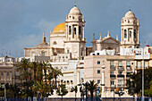 view from the harbour to the cathedral, Cadiz, Costa de la Luz, Atlantic Ocean, Andalusien, Spanien, Europa