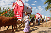 Pilgrim woman and caravan of ox carts, El Rocio, pilgrimage, Pentecost festivity, Huelva province, Sevilla province, Andalucia, Spain, Europe