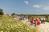 blooming meadow in Spring, El Rocio pilgrimage, Pentecost festivity, Huelva province, Sevilla province, Andalucia, Spain, Europe