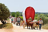 caravan of ox carts, El Rocio pilgrimage, Pentecost festivity, Huelva province, Sevilla province, Andalucia, Spain, Europe