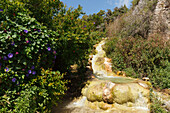 waterfall and spring, plateau of La Muela, Santa Lucia, near Conil, Costa de la Luz, Cadiz province, Andalucia, Spain, Europe