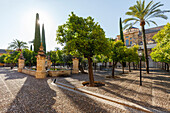 Patio de los Naranjos, Patio, inner courtyard, La Mezquita, Mezquita-Cathedral, mosque and cathedral,  historic centre of Cordoba, UNESCO World Heritage, Cordoba, Andalucia, Spain, Europe