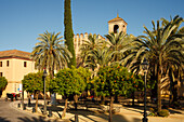 Kutsche, Orangenbäume, Palmen, Alcazar de los Reyes Cristianos, königliche Residenz, historisches Stadtzentrum von Cordoba, UNESCO Welterbe, Cordoba, Andalusien, Spanien, Europa