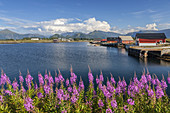 Askevagen by the Atlantic Ocean Road, Vagen, More og Romsdal, Western Norway, Norway, Scandinavia, Northern Europe, Europe