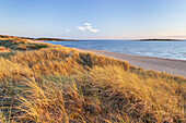 Beach of Tylösand, Halmstad, Halland, South Sweden, Sweden, Scandinavia, Northern Europe, Europe