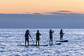 Stand up Paddler auf dem Meer vor Tylösand, Halmstad, Halland, Südschweden, Schweden, Skandinavien, Nordeuropa, Europa