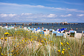Beach with beach chairs, Göhren, Ruegen Island, Baltic Sea, Germany, Europe